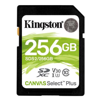  Зображення Карта пам'яті Kingston SD 256GB  C10 UHS-I R100MB/s 